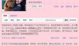 黄奕微博爆料霍思燕视频,黄奕微博爆料引发热议