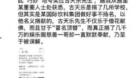 卓伟爆料慈善造假视频,揭开公益背后的黑幕